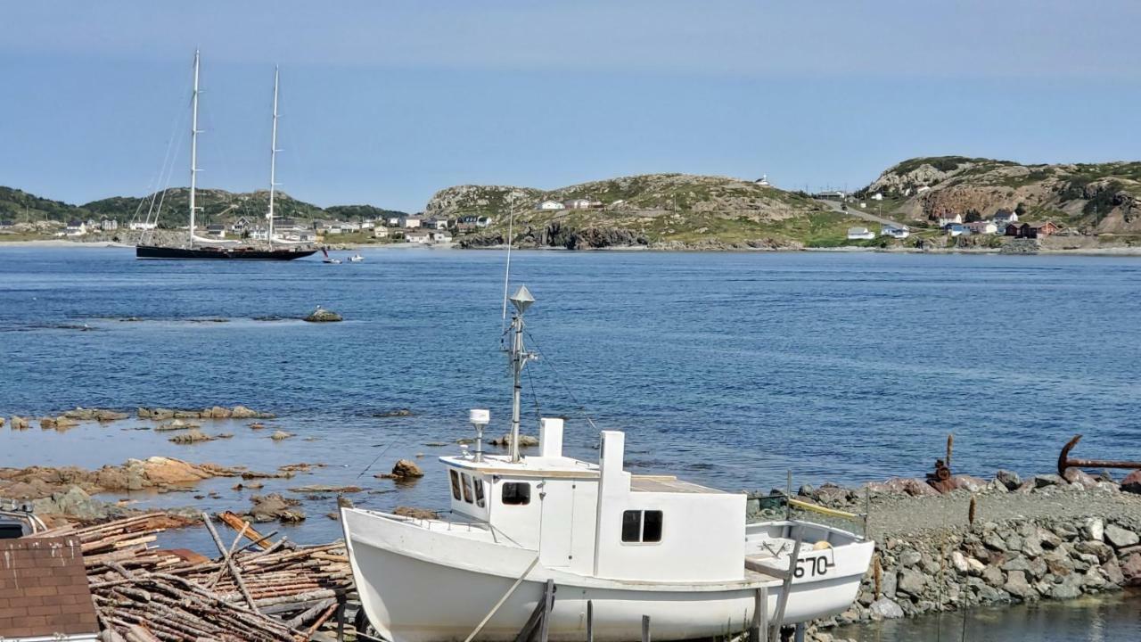 Hillside B&B Twillingate Exteriör bild
